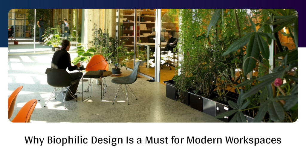 Why Biophilic Design Is a Must for Modern Workspaces